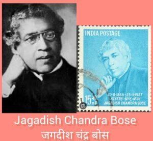 Postal Ticket